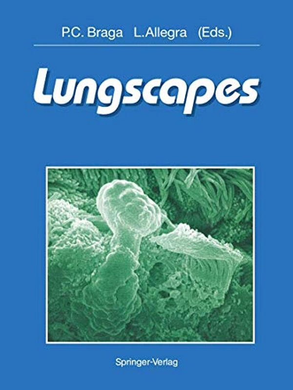 Lungscapes-..
