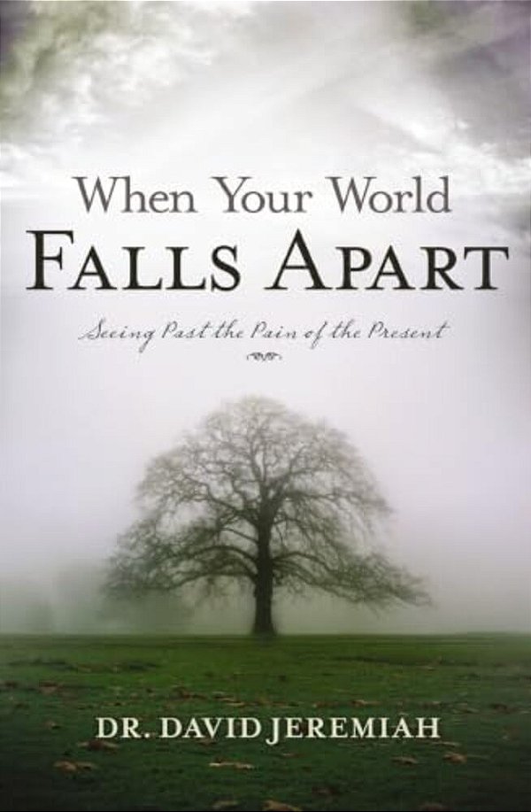 When Your World Falls Apart: See Past The Pain Of The Present-..
