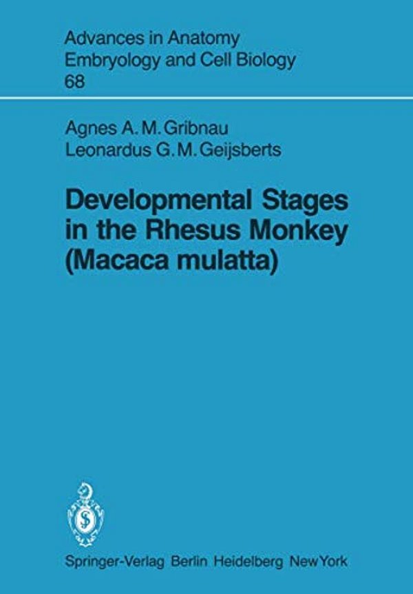 Developmental Stages In The Rhesus Monkey (Macaca Mulatta)-..