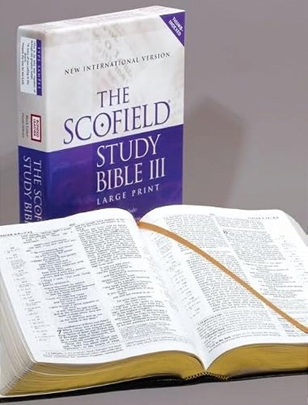 Scofield Study Bible III-Niv-large Print-..