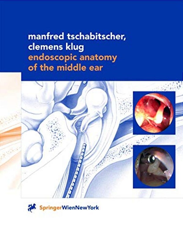 Endoscopic Anatomy Of The Middle Ear-..