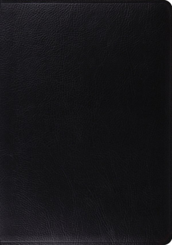Study Bible-Esv-..