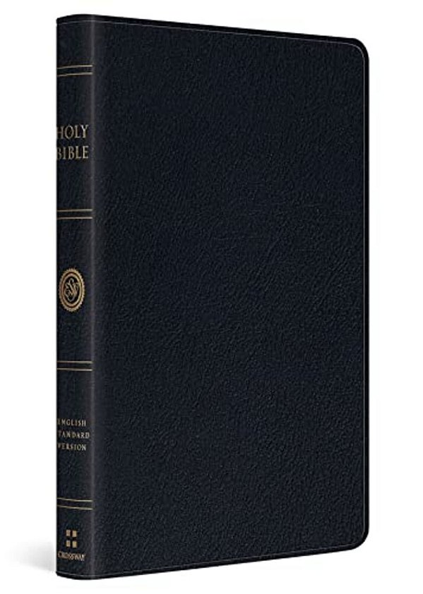 Esv Thinline Bible, Red Letter (Genuine Leather, Black)-..