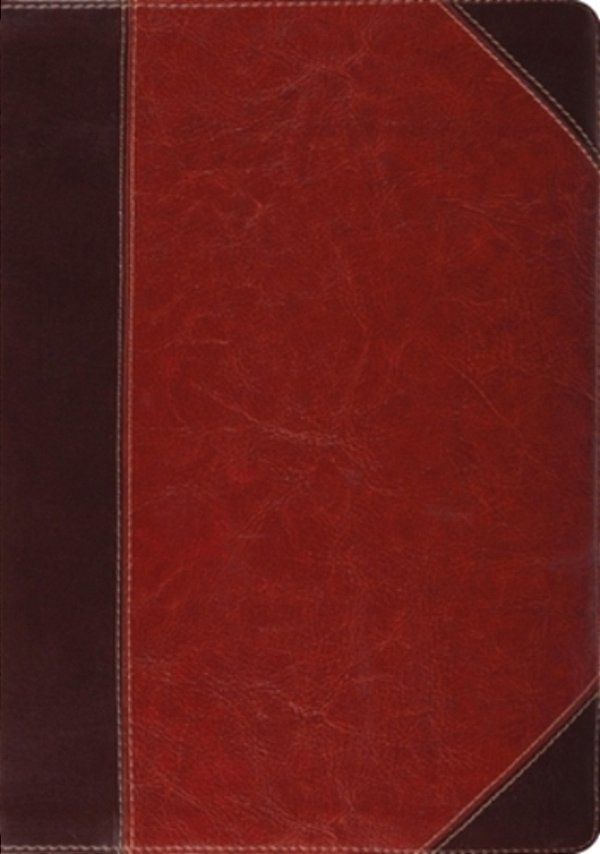 Study Bible-Esv-portfolio Design-..