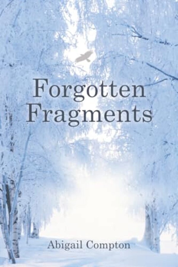 Forgotten Fragments-..