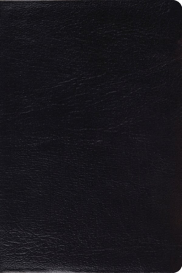 Study Bible-Esv-personal Size-..