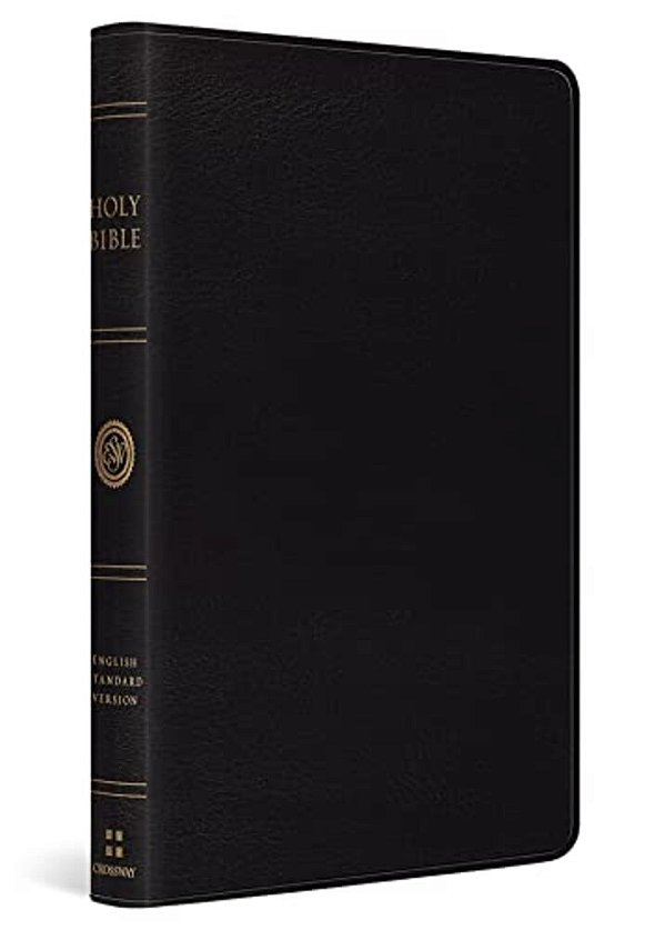 Esv Thinline Bible, Red Letter (Bonded Leather, Black)-..