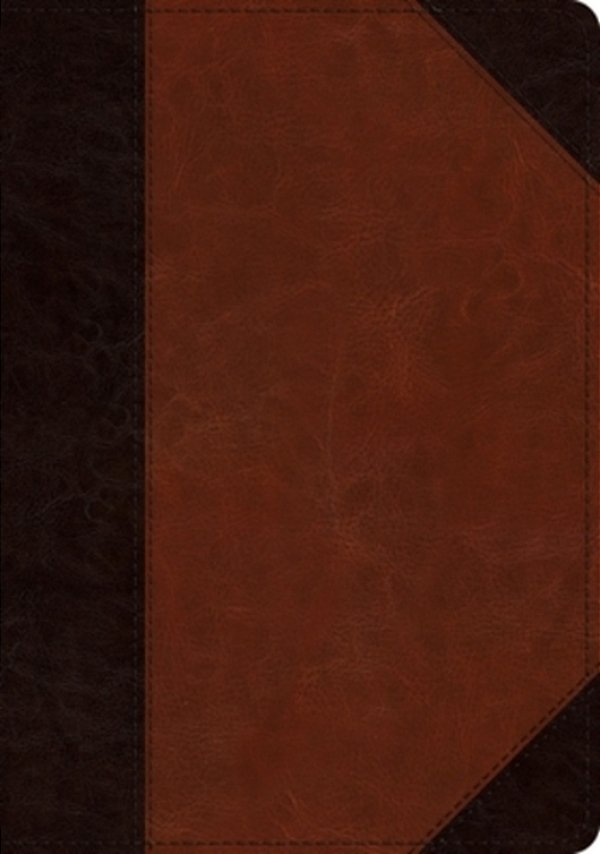 Esv Large Print Wide Margin Bible (Trutone, Brown/Cordovan, Portfolio Design)-..