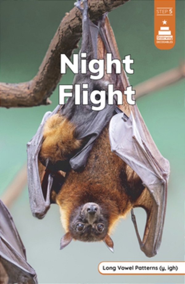 Night Flight-..