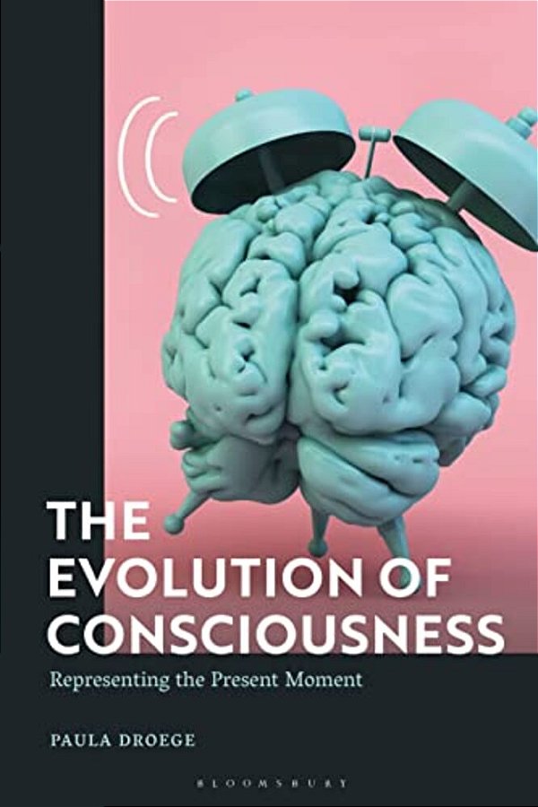 The Evolution Of Consciousness: Representing The Present Moment-..