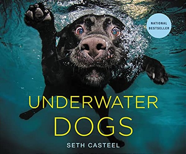 Underwater Dogs-..