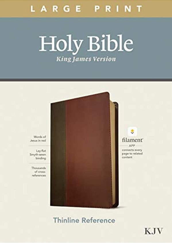 Kjv Large Print Thinline Reference Bible, Filament Enabled Edition (Red Letter, Leatherlike, Brown/Mahogany)-..