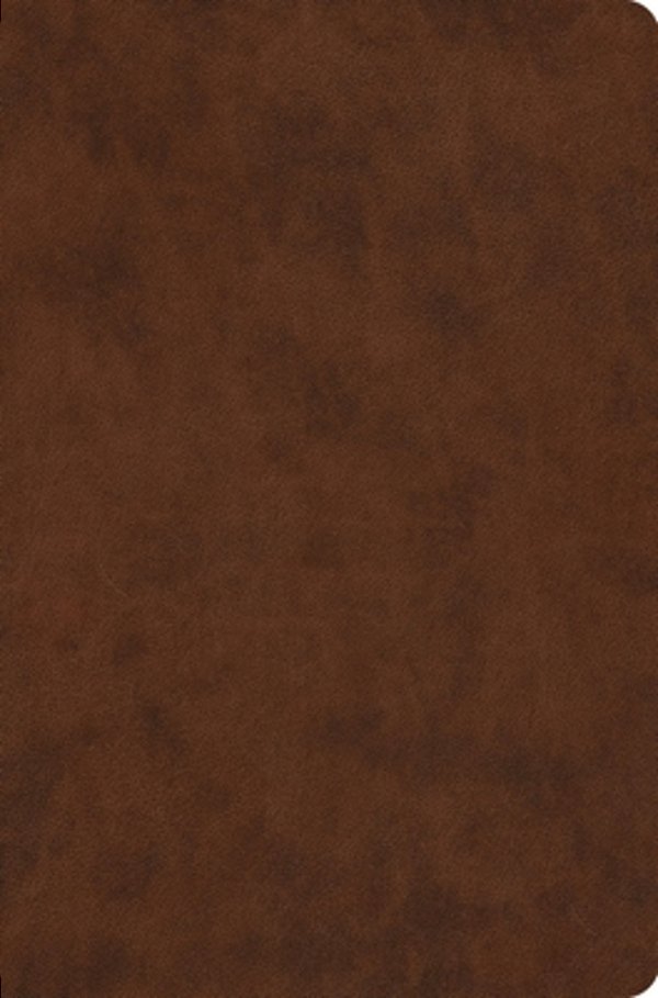 Esv Value Compact Bible, Red Letter (Trutone, Brown)-..