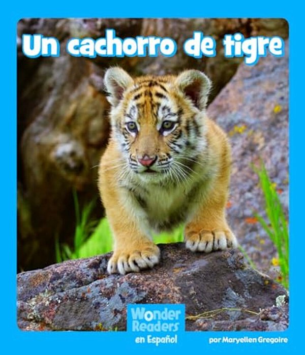 Un Cachorro De Tigre (A Tiger Cub)-..