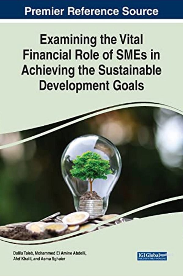 Examining The Vital Financial Role Of Smes In Achieving The Sustainable Development Goals-..