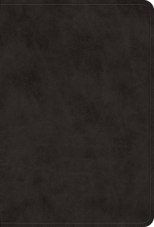 Esv Large Print Value Compact Bible (Trutone, Black)-..