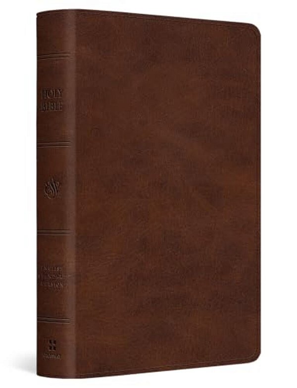 Esv Large Print Bible (Trutone, Deep Brown)-..