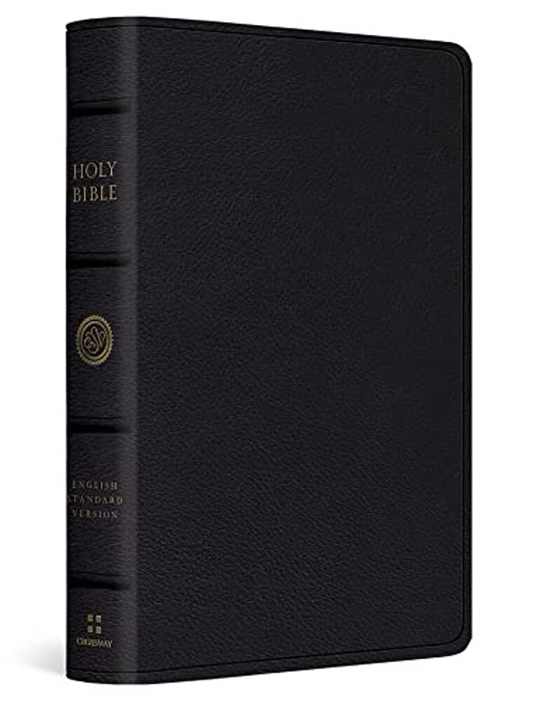 Esv Large Print Bible (Top Grain Leather, Black)-..