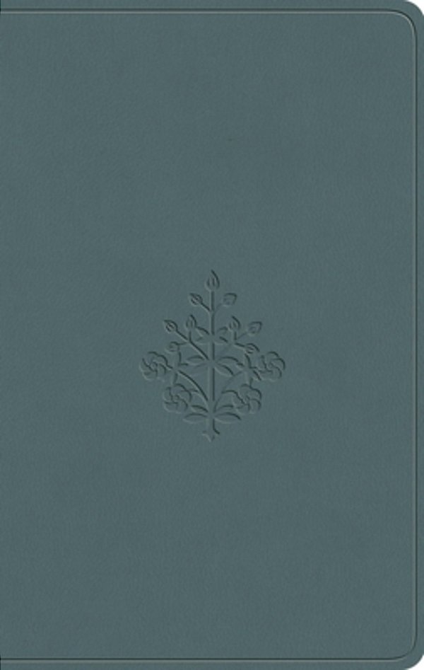 Esv Value Compact Bible (Trutone, Paris Sky, Branch Design)-..