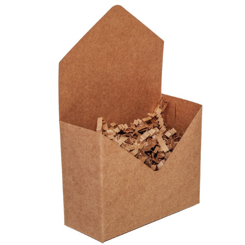 Mini Envelope Kraft (05 unidades)