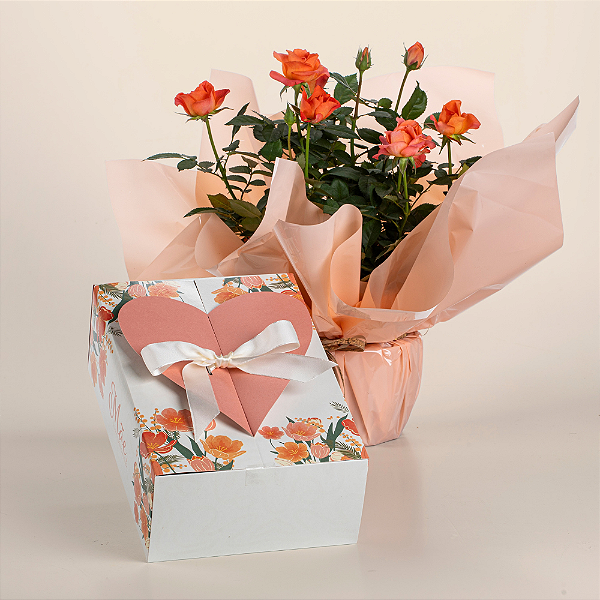 Caixa Coração Mãe, Nosso Primeiro Lar (05 Unidades)