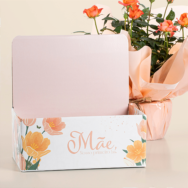 Caixa Display Mãe, Nosso Primeiro Lar (03 unidades)