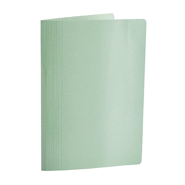 PASTA CLASSIFICADOR RAPIDO 290G VERDE