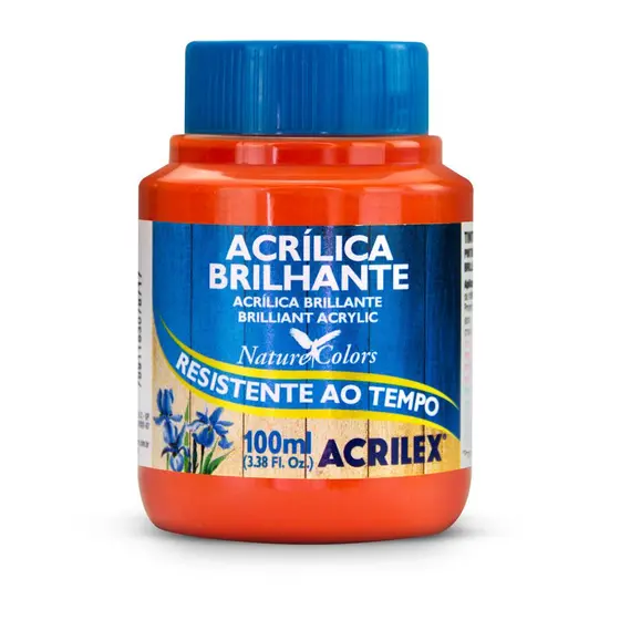 TINTA ACRILICA BRILHANTE 100ML LARANJA