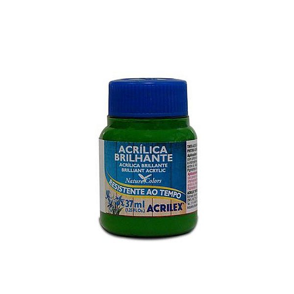 TINTA ACRILICA BRILHANTE 037ML VERDE MUSGO