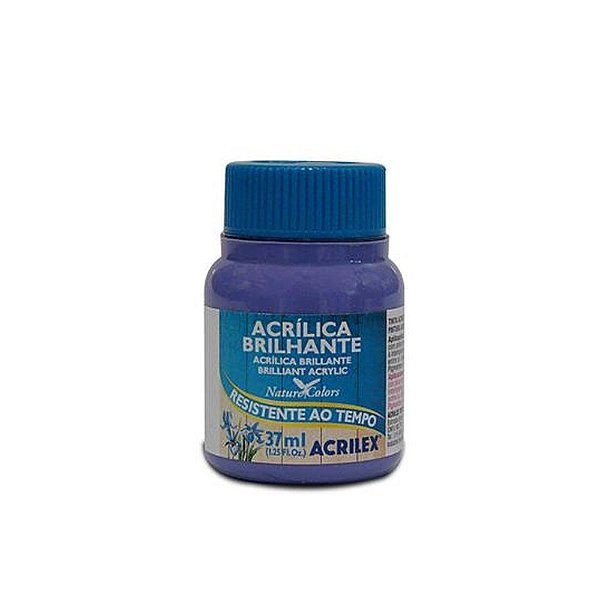 TINTA ACRILICA BRILHANTE 037ML VIOLETA