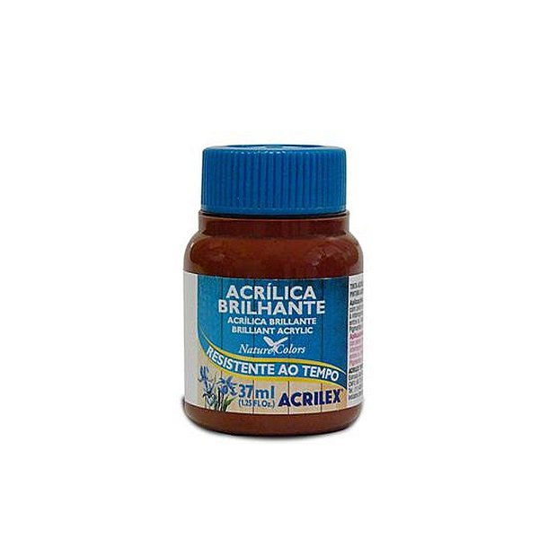 TINTA ACRILICA BRILHANTE 037ML MARROM