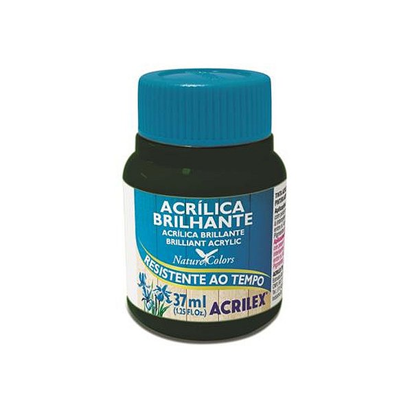 TINTA ACRILICA BRILHANTE 037ML VERDE OLIVA