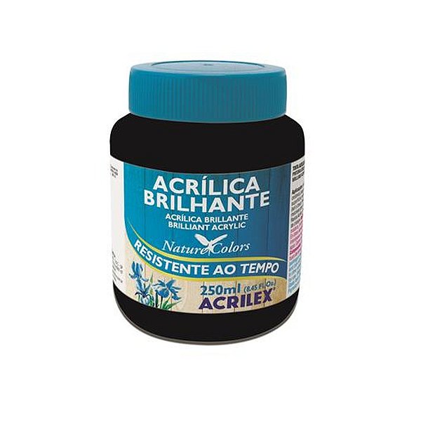 TINTA ACRILICA BRILHANTE 250ML PRETA