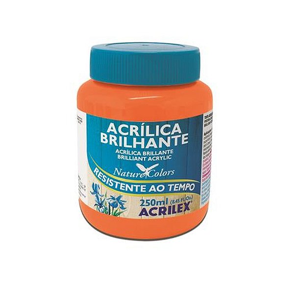 TINTA ACRILICA BRILHANTE 250ML LARANJA