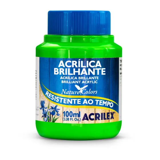 TINTA ACRILICA BRILHANTE 100ML VERDE FOLHA