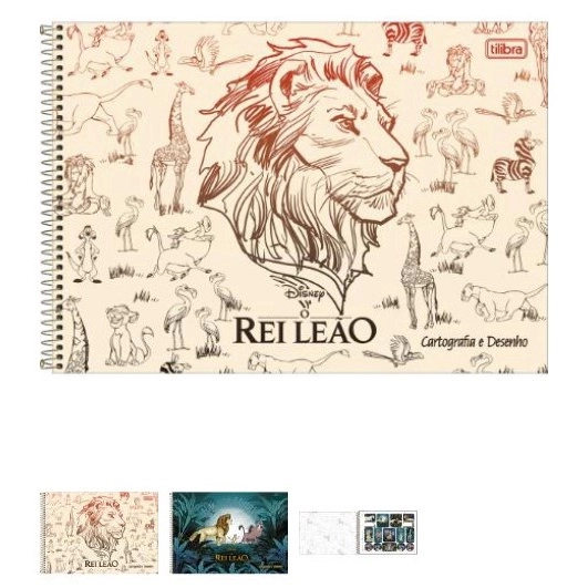 CADERNO CARTOGRAFIA CAPA DURA 80 FOLHAS REI LEAO