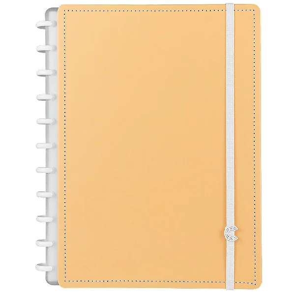CADERNO INTELIGENTE GRANDE LARANJA PASTEL 80F UNI