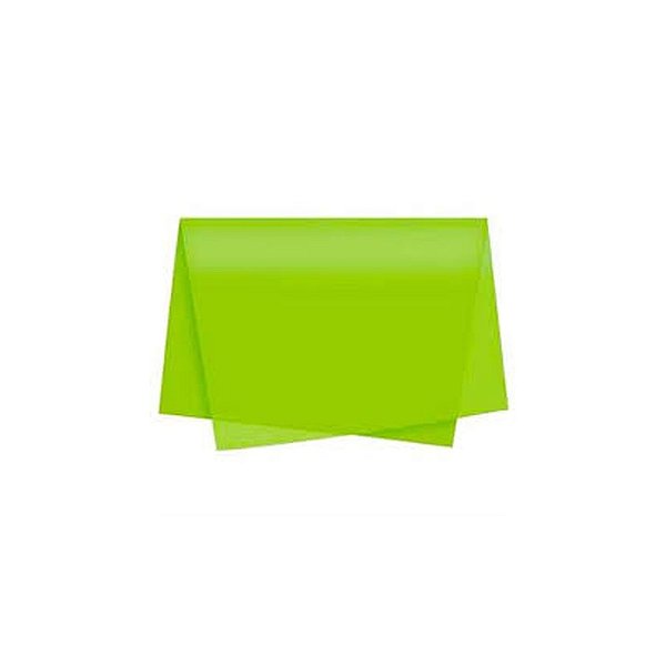 PAPEL SEDA 48X60CM VERDE CLARO