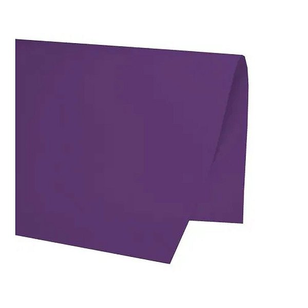 PAPEL COLOR SET 48X66CM ROXO