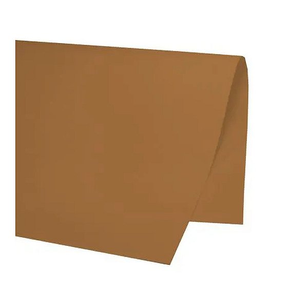 PAPEL COLOR SET 48X66CM MARROM