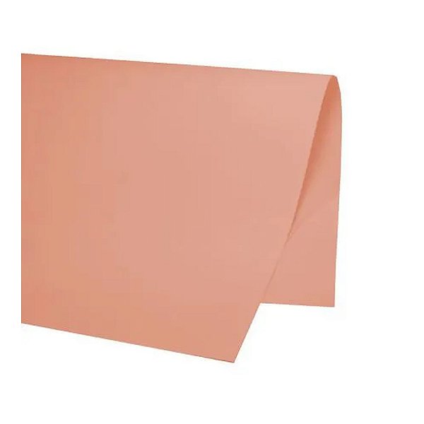 PAPEL COLOR SET 48X66CM SALMAO