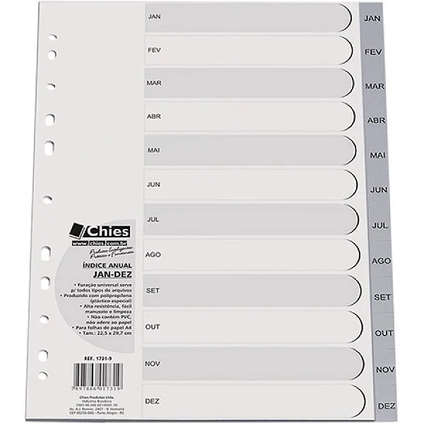 INDICE ANUAL A4 12 DIVISOES JAN/DEZ CINZA