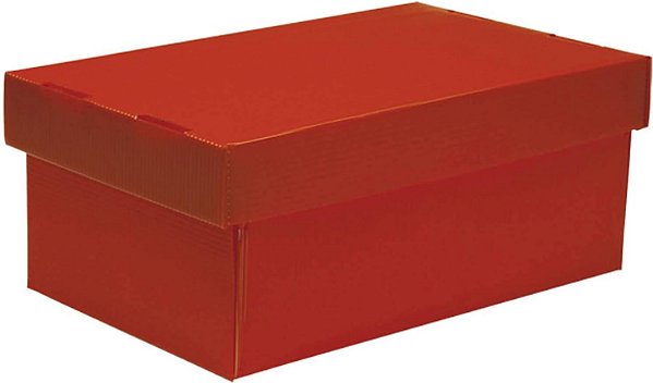 CAIXA ORGANIZADORA MINI  (FOSCA ) - VERMELHA