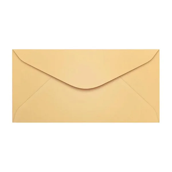 ENVELOPE CARTA 114X229 COLORIDO SALMAO MADRID