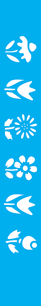 MOLDE VAZADO/ESTENCIL 04X30CM BORDA FLORES
