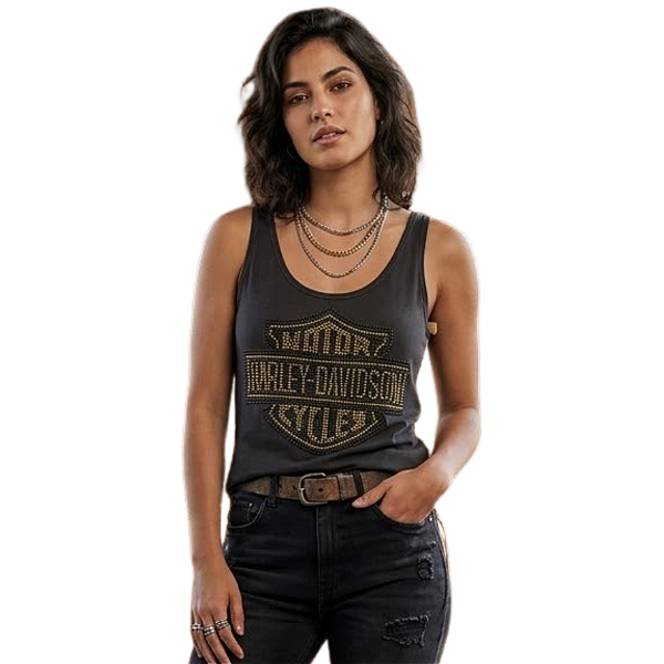 Regata NR Estonada Harley Davidson