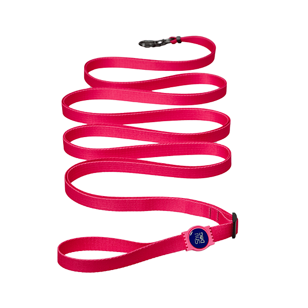 Guia Longa para Cachorros 5m - Impulso Rosa Neon