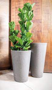 Vaso Aldora Cônico Afort