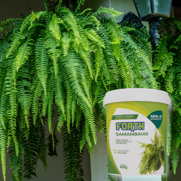 Fertilizante Adubo Forth Samambaias
