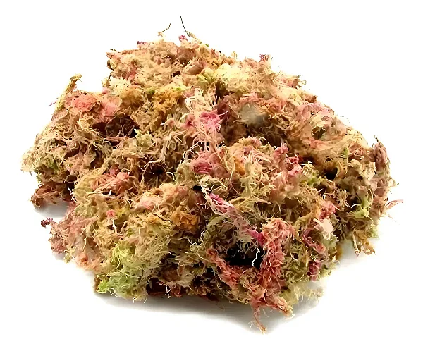 Musgo Esfagno Rosado Para Orquídeas 3 Litros